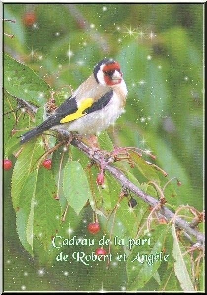 cadeauxr recue  de mes amis